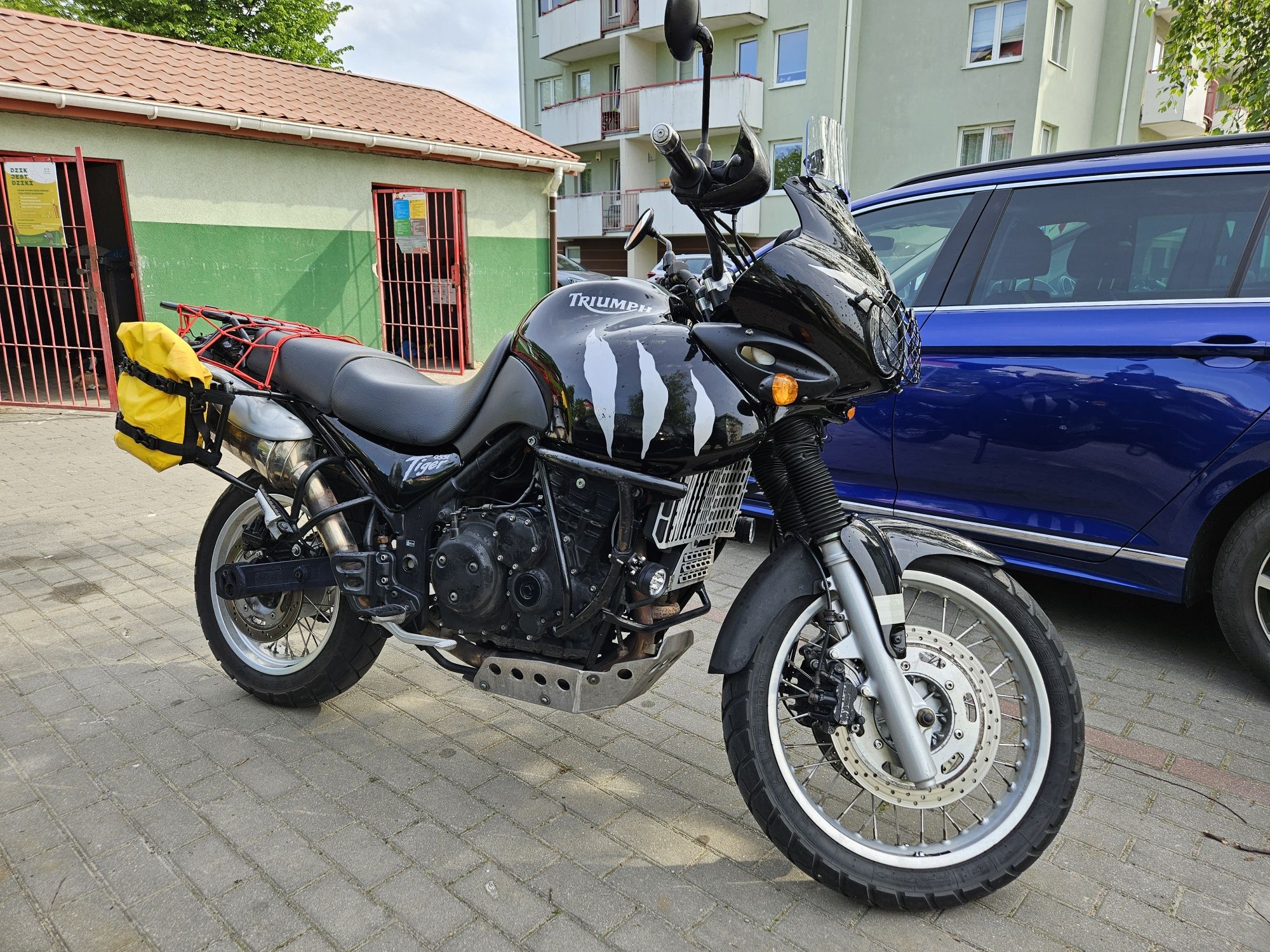 Triumph Tiger 955i adventure