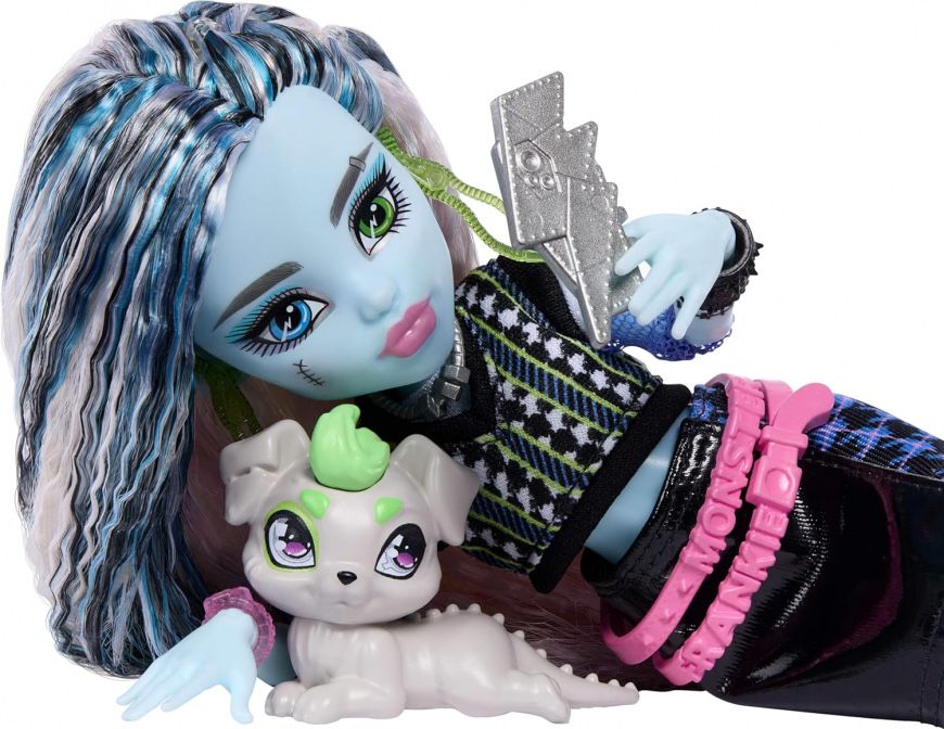 Monster High Frankie Stein New Look Core Refresh 2 Френкі Штейн базова