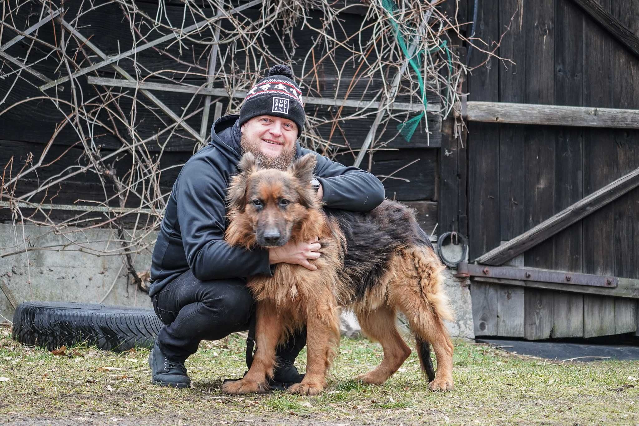 Bufor - piękny pies w typie długowłosy owczarek niemiecki