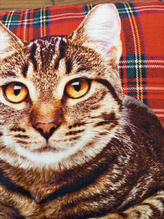 Almofadas  Gatos hiperrealista  da Loja do Gato Preto