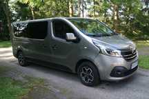 Renault Trafic Renault Trafic 2.0 dci 9 0s. Long