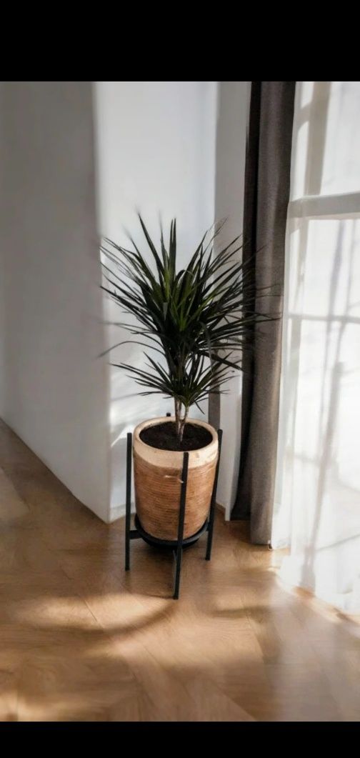 Dwustronny Kwietnik loftowy stojak na kwiaty czarny metalowy 60cm LOFT