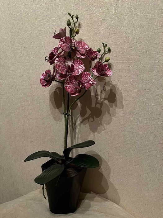 Орхидея фаленопсис искусственная композиция в горшке .Кошка статуэтка