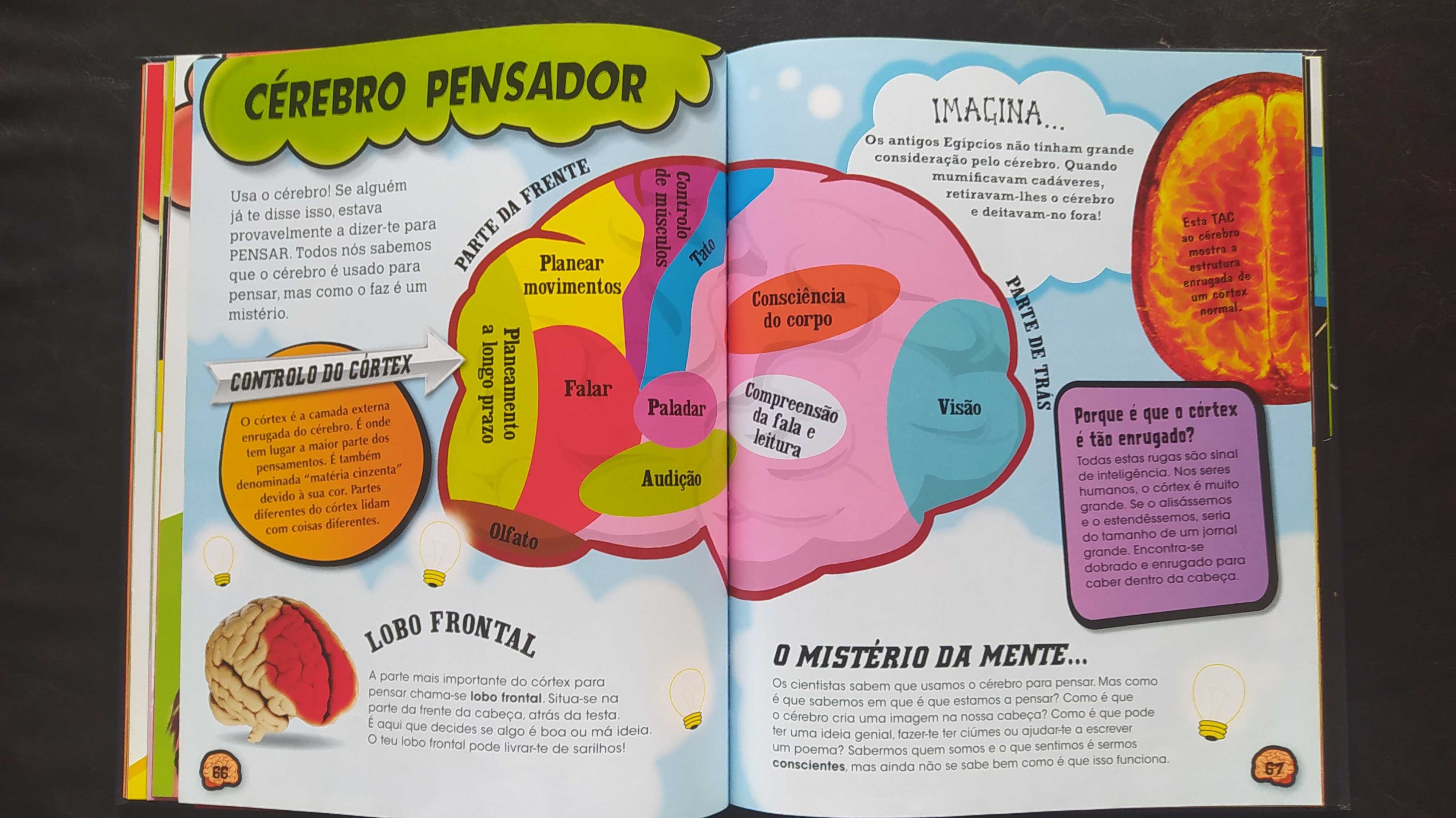 Livro - O nosso corpo