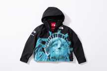 Supreme the North Face statue of liberty mountain jacket