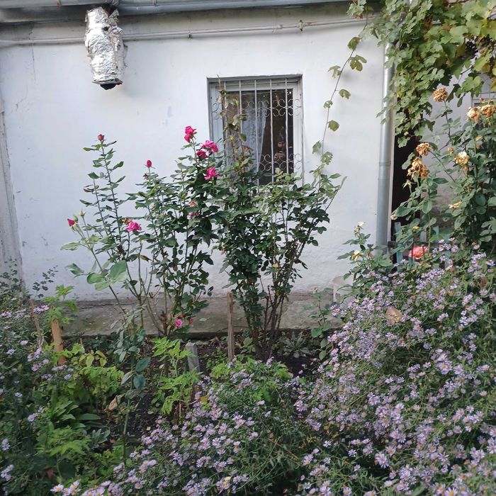 Продажа 2 к/кв,жилкоп в центре