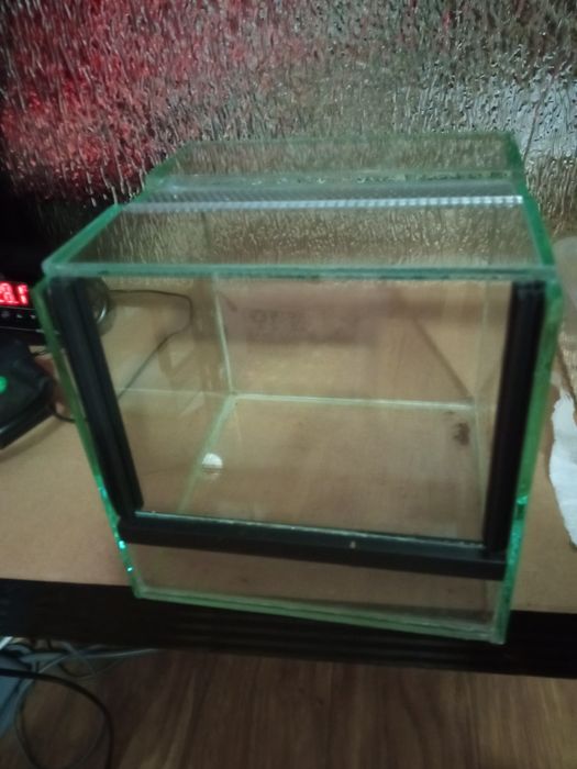 Terarium szklane, gilotyna. 15*15*15