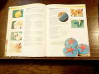 Livro 'Storybook Cakes' de Lindy Smith