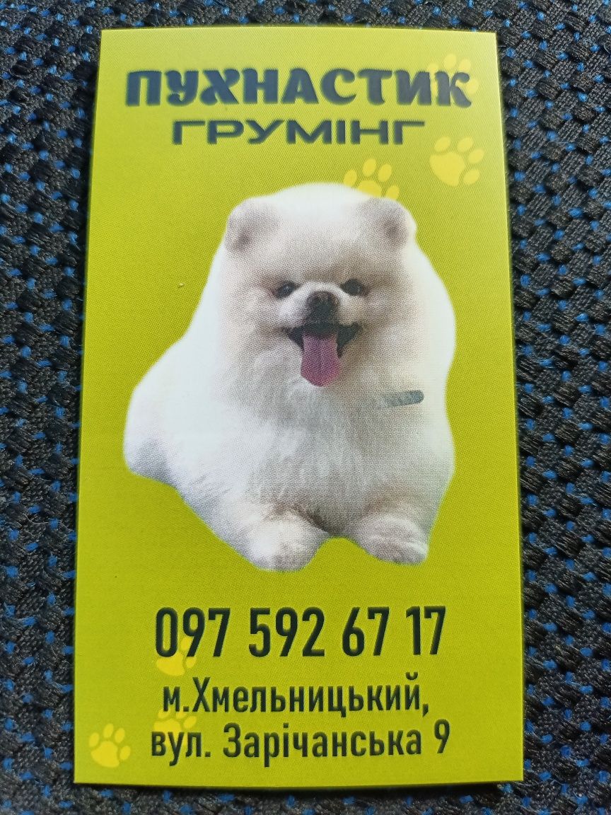 Послуги грумінга для котиків і песеків