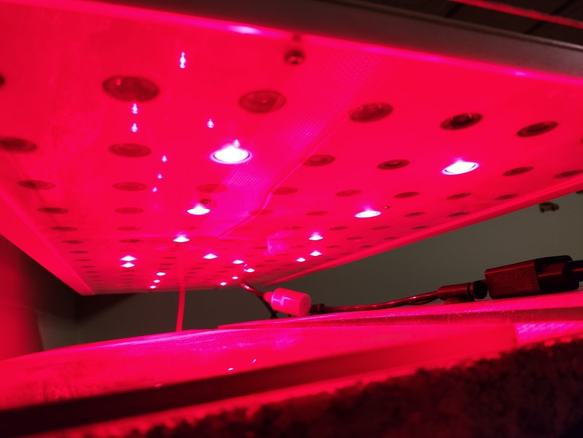 Belka Lampa power led akwarium 80cm rośliny ryby RGB
