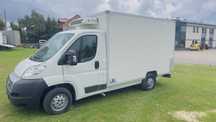 Fiat Ducato chłodnia