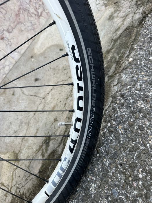 Cannondale Tango – Tall Size (L)