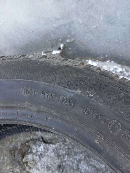 Подарую Barum polaris 3 205 55 16