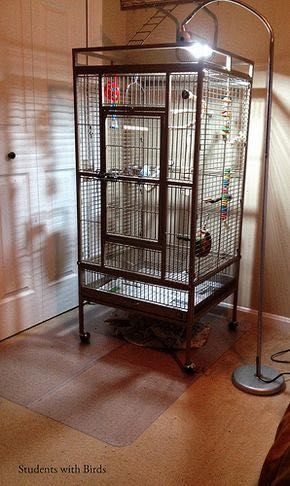 Vendo gaiola para papagaio