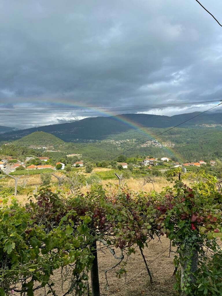 Terreno urbanizável, agrícola e florestal em Monção