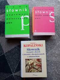 książki - słowniki języka polskiego