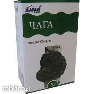 Okazja - 1,5 kg Chaga / Czaga / Inonotus obliquus / Czarna huba z brzo