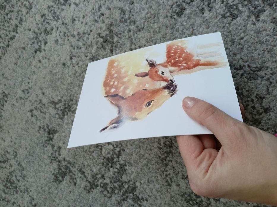 Mały słodki plakat do pokoju dziecka! 13*18 cm sarny sarenki zwierzęta