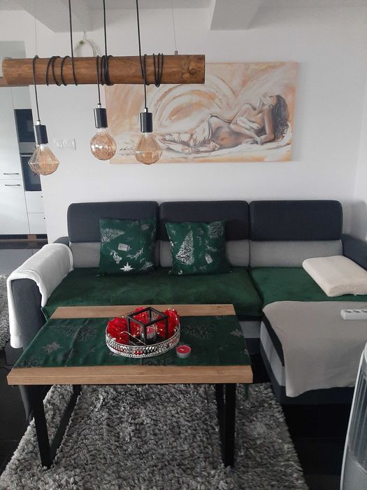 Domek do wynajęcia