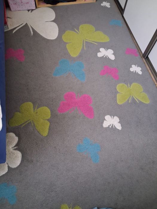 Dywan w motyle 230×160