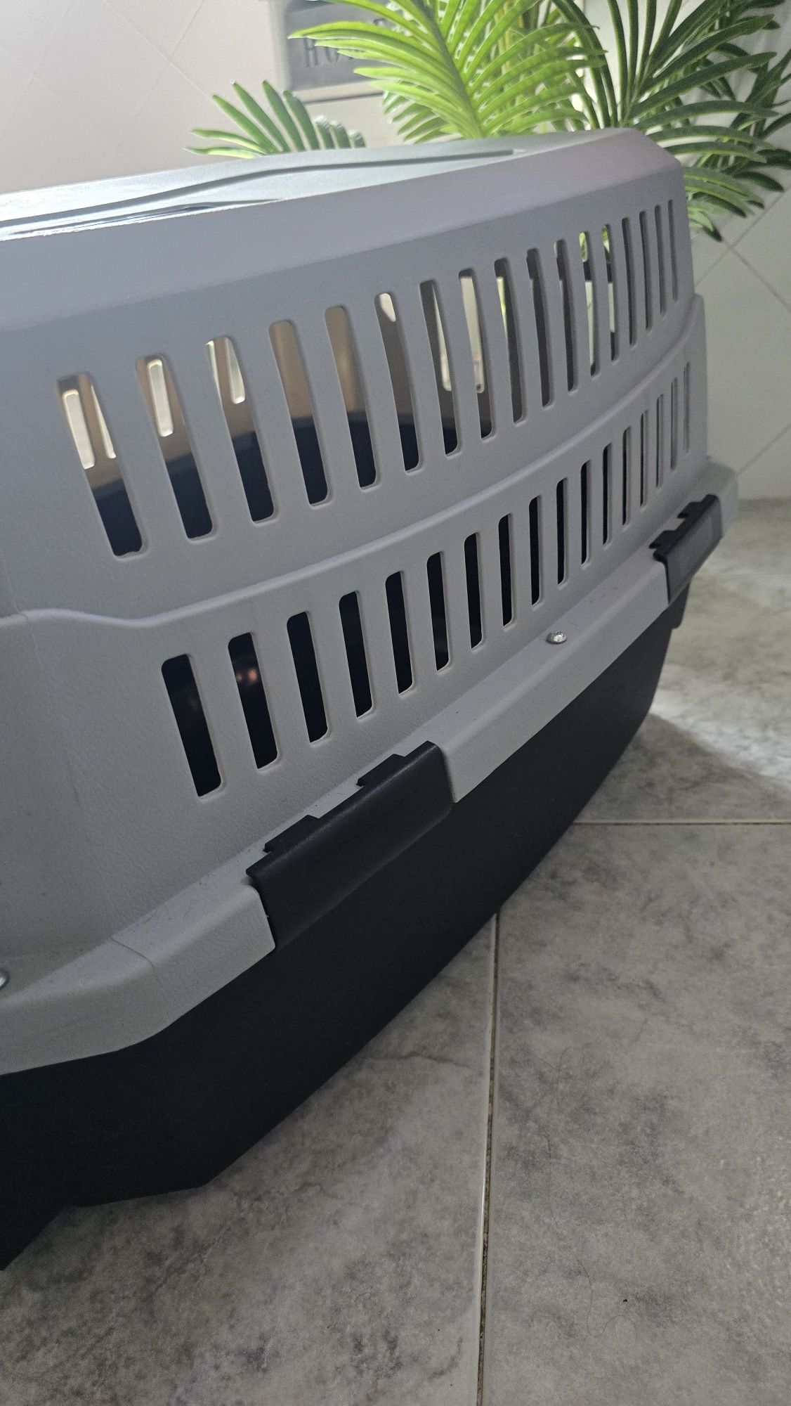 Caixa transportadora animais