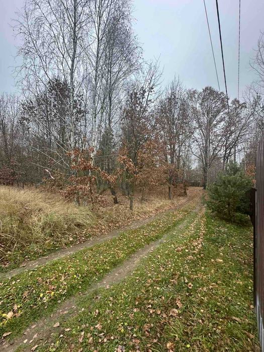 Київська обл. Бучанський р-н, Наливайківська с/р, с/т «Дубки» 12 соток