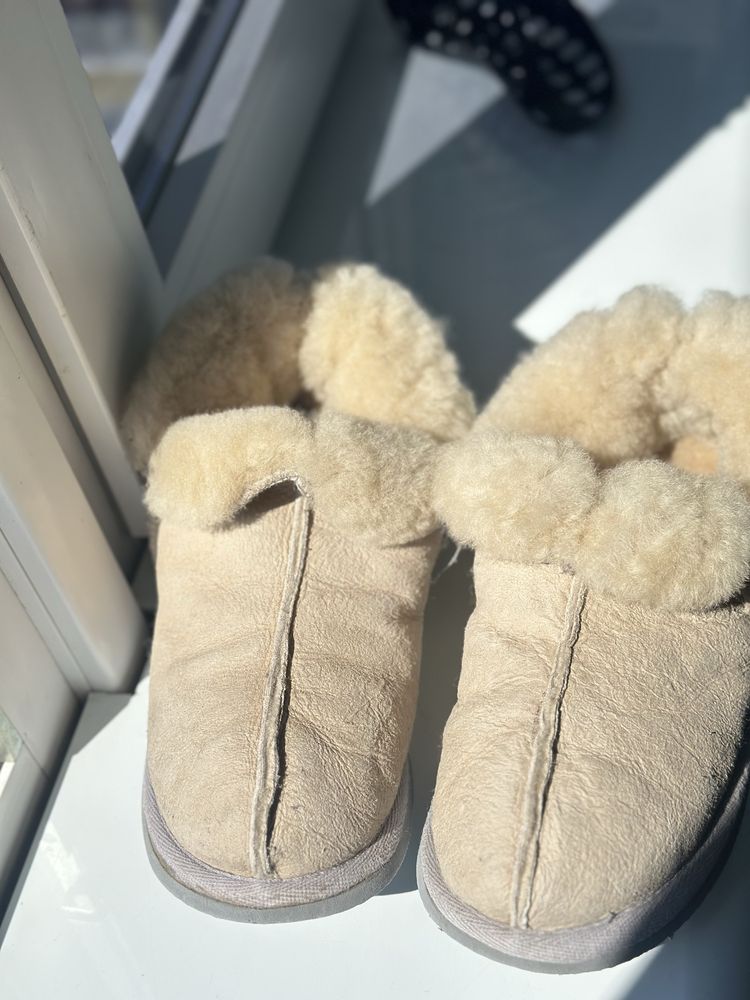 shepherd slippers ugg угги р36