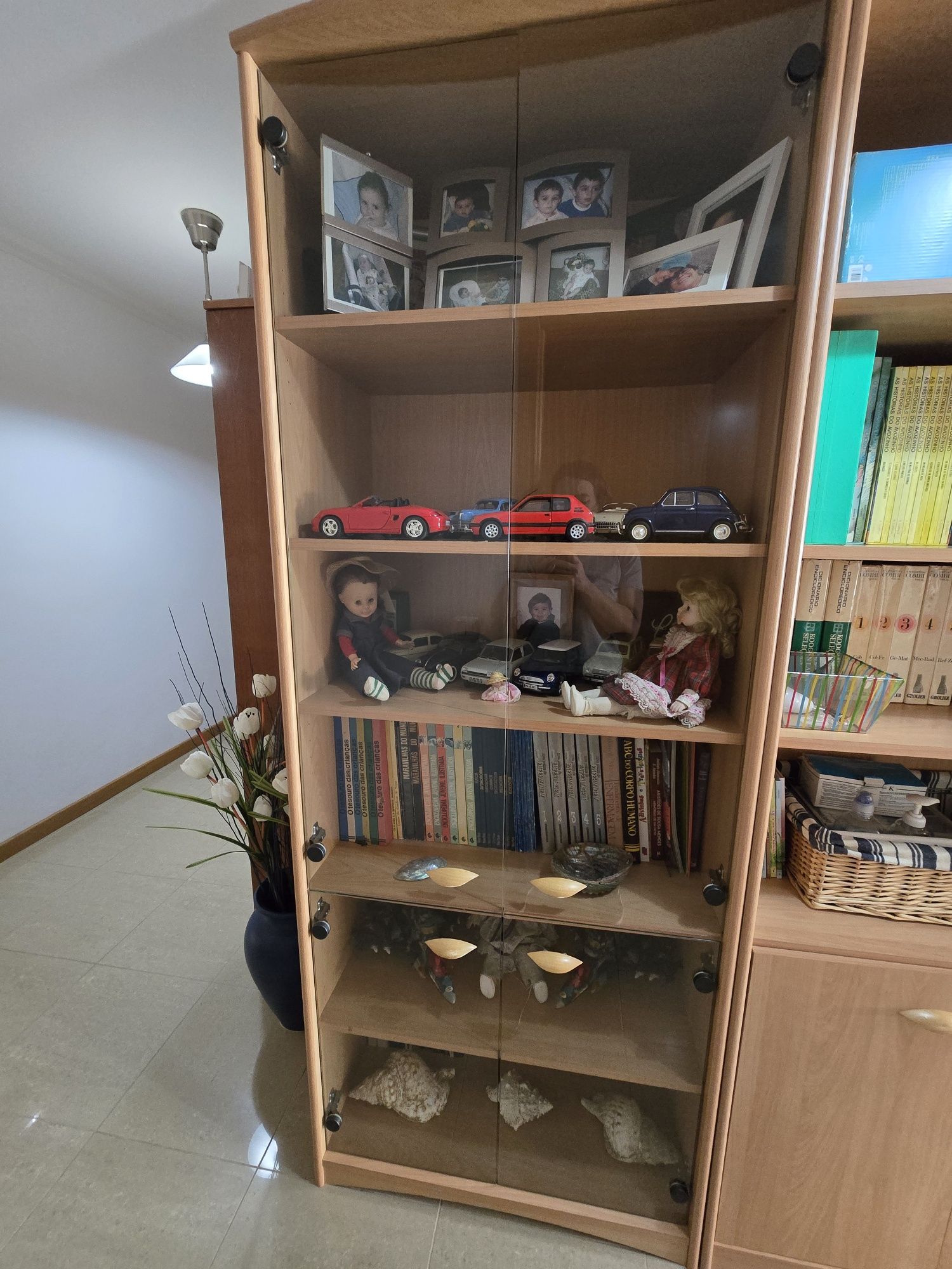 Estantes escritório/sala