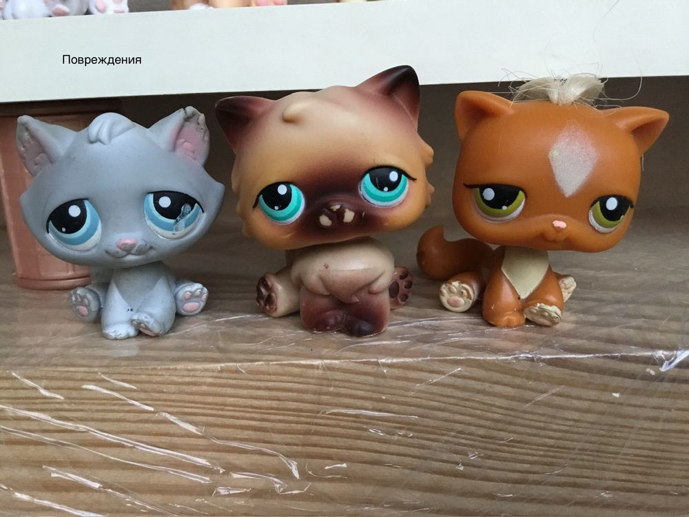 littlest pet shop лпс кот котик кошеня. Hasbro