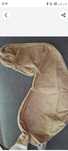Baza hobby horse