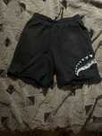 шорти sprayground