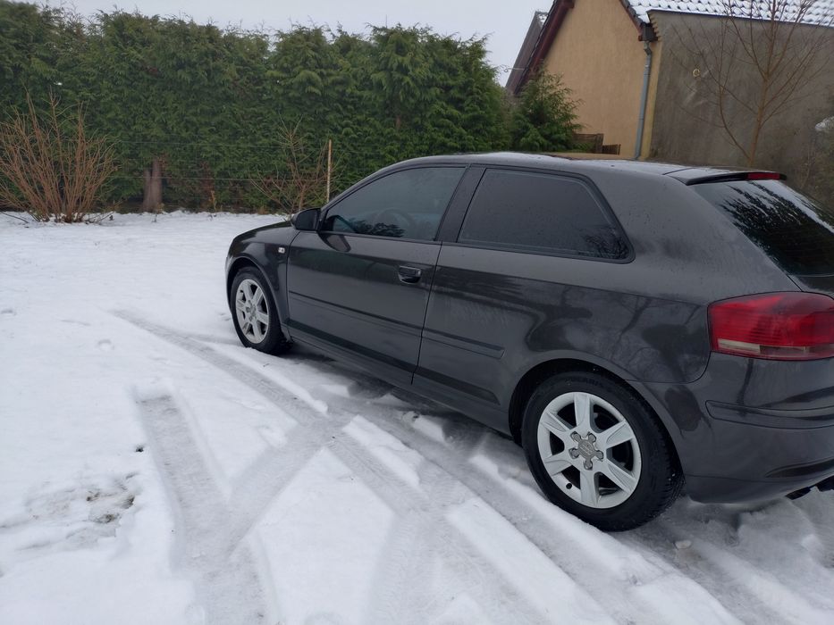 Audi A3 8p 2003 Diesel