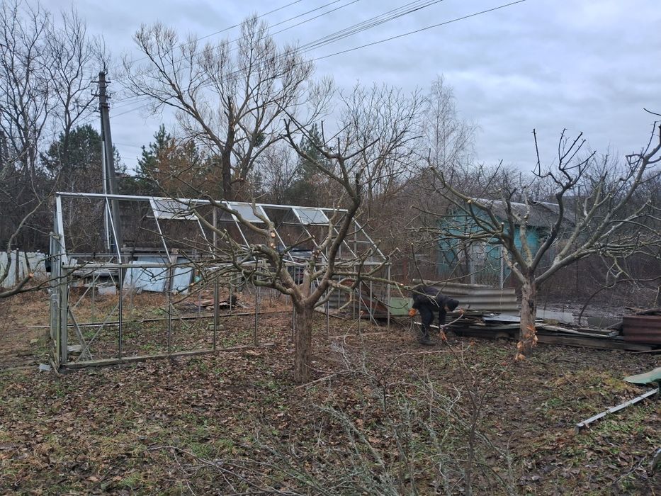 Покос травии,спил дерев, обрізка плодових,