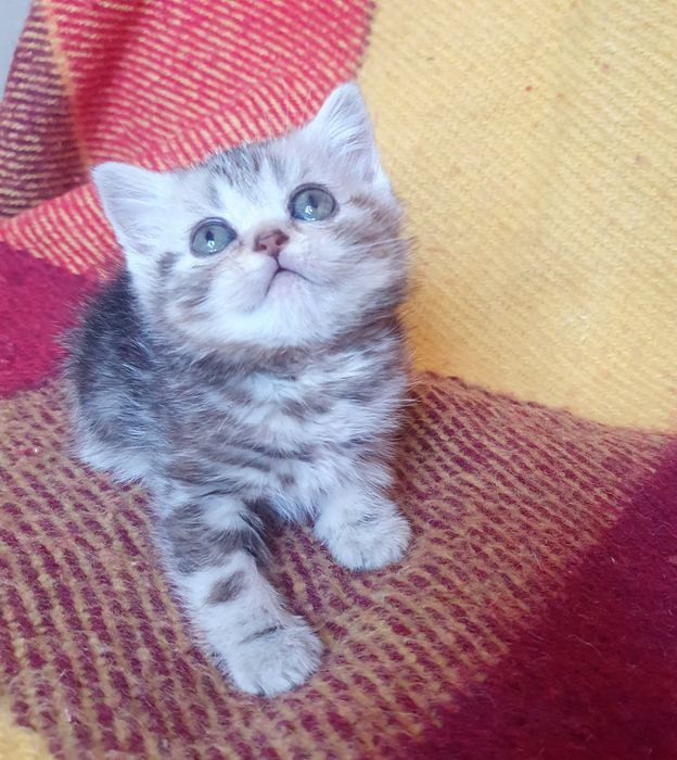 Мила крихітка з документами