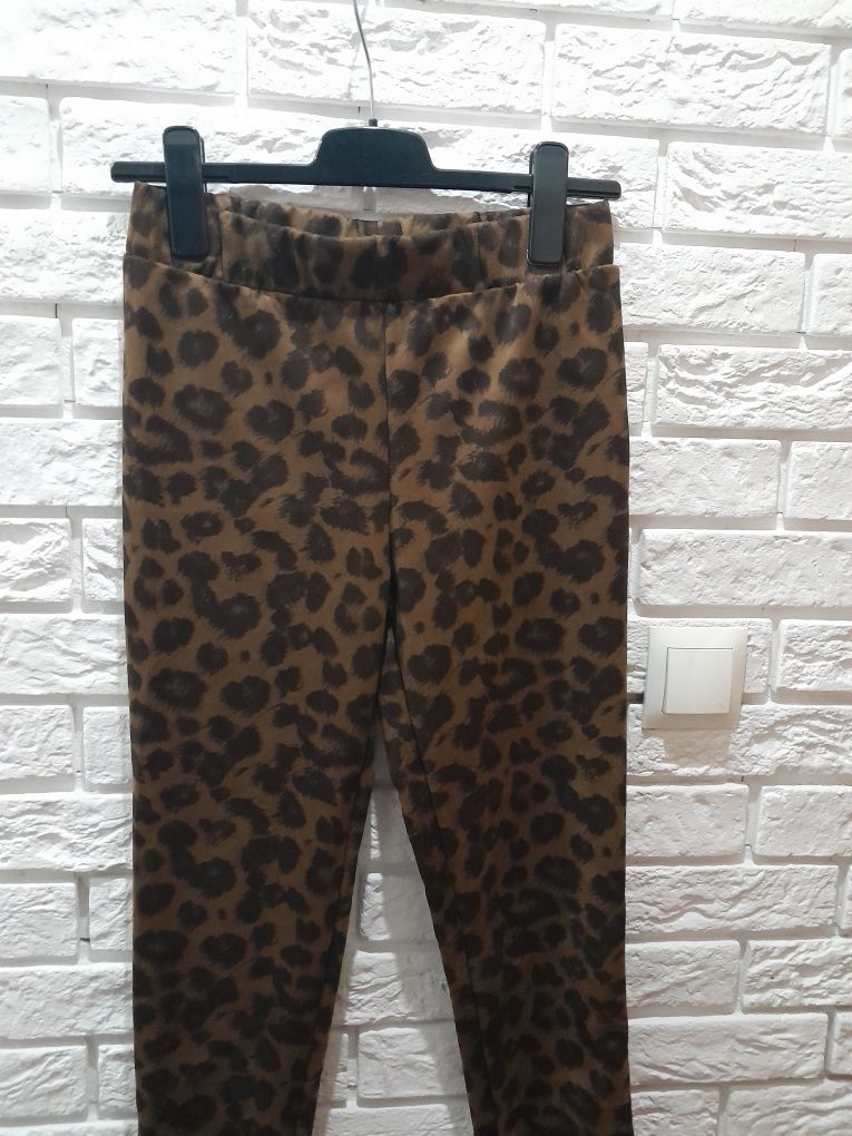 Getry S panterka nowe