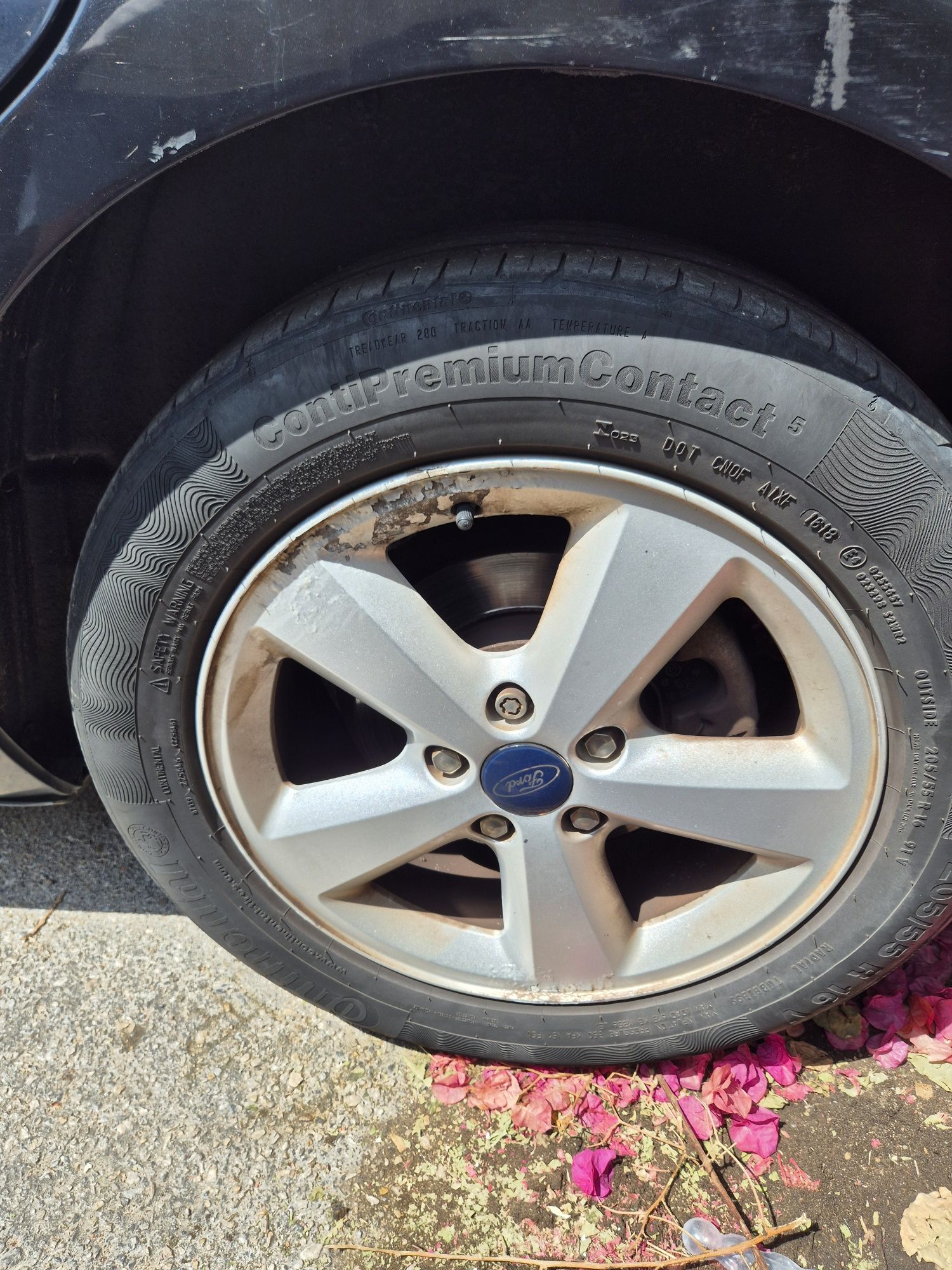 Ford Focus 1.6 TDCI 90 CV Ano 2006