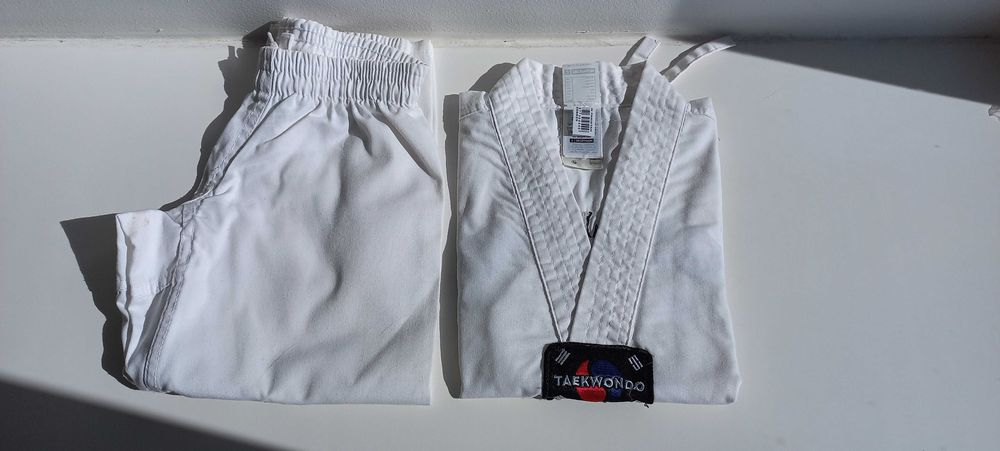 Fatos Taekwondo Criança