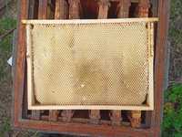 Ramki pszczele z suszem