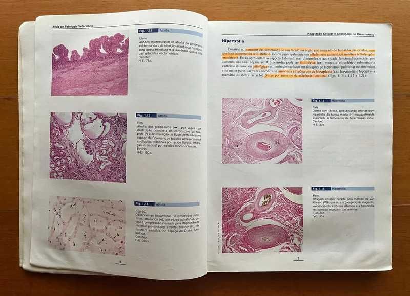 Atlas de Patologia Veterinária - Biopatologia