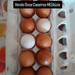 Ovos Caseiros - Paredes