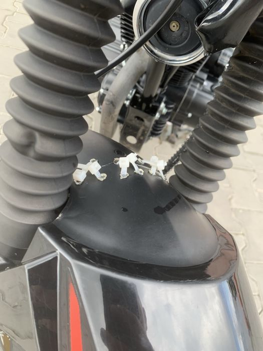 Musstang region mt250-9r