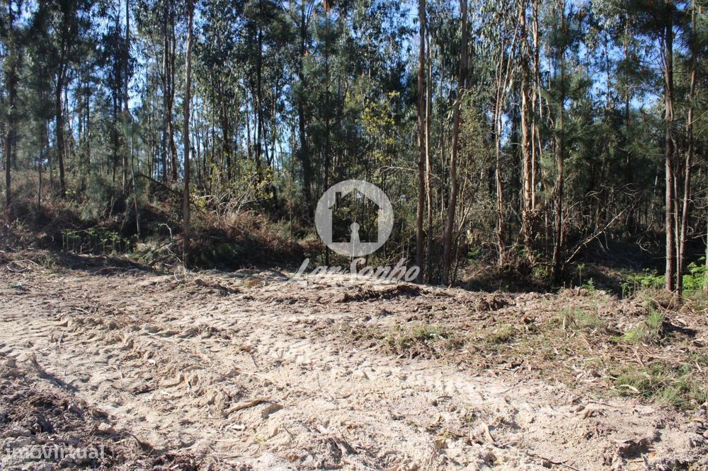 Terreno para construção de moradias