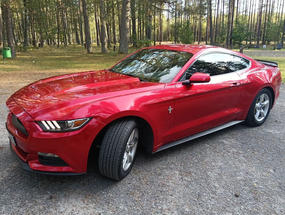 Ford Mustang Ford Mustang 3,7 mały przebieg stan b.dobry