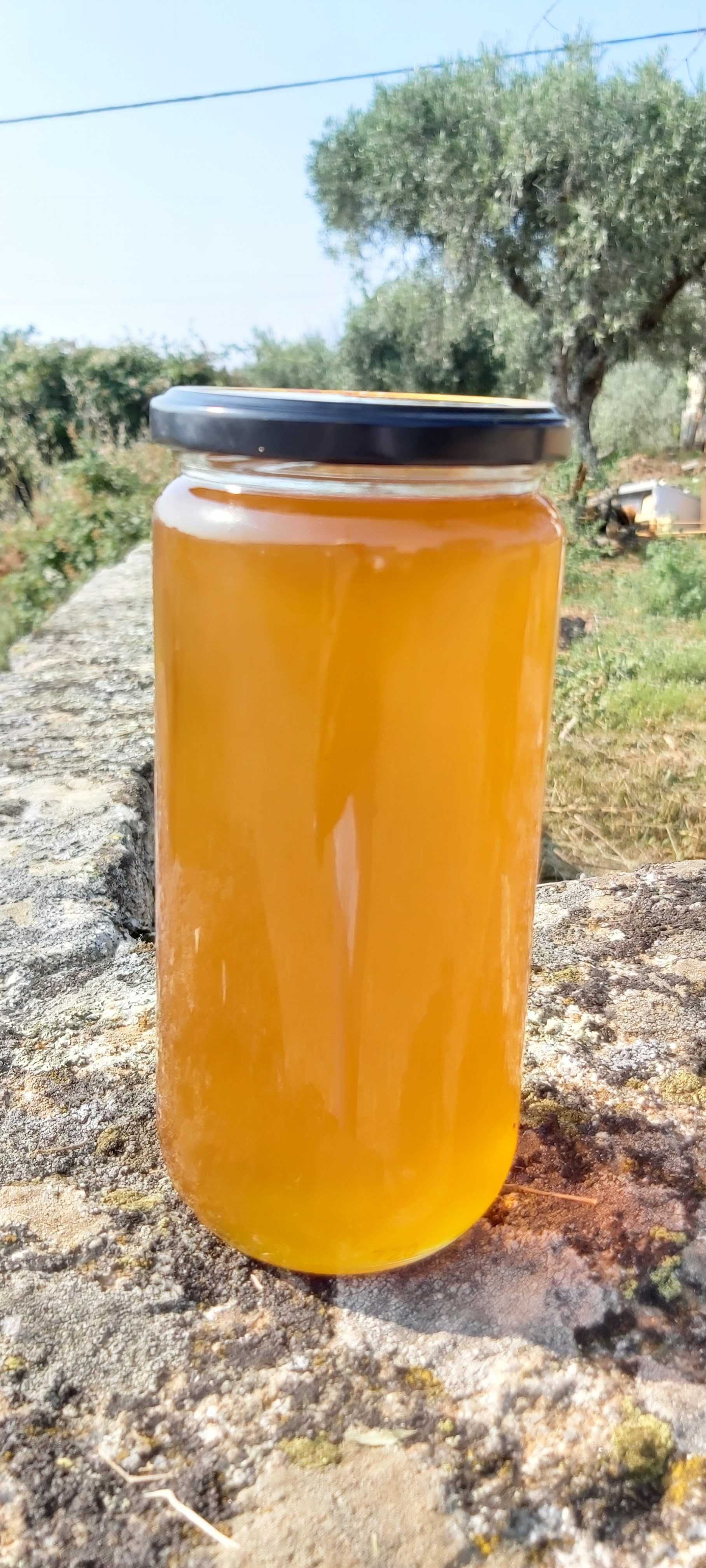 Mel flor predominante  de rosmaninho