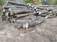 Drewno buk grab opałowe
