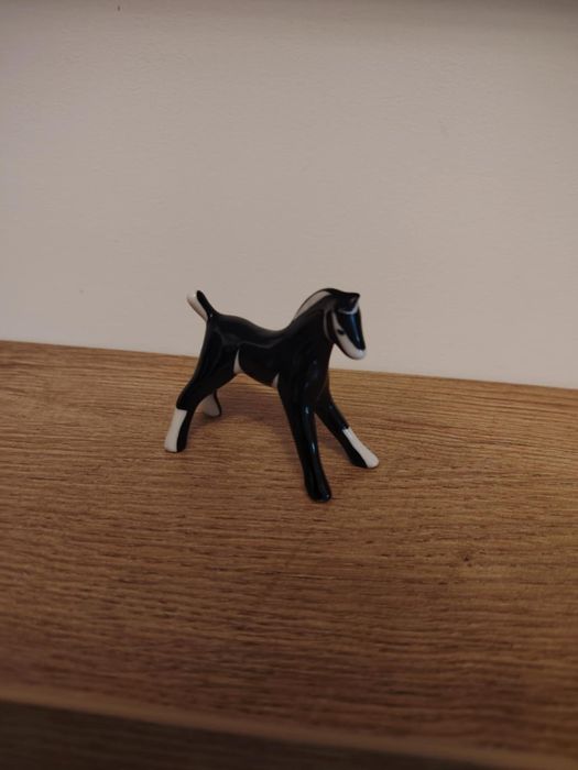 Konik mały Chodzież sygnowany