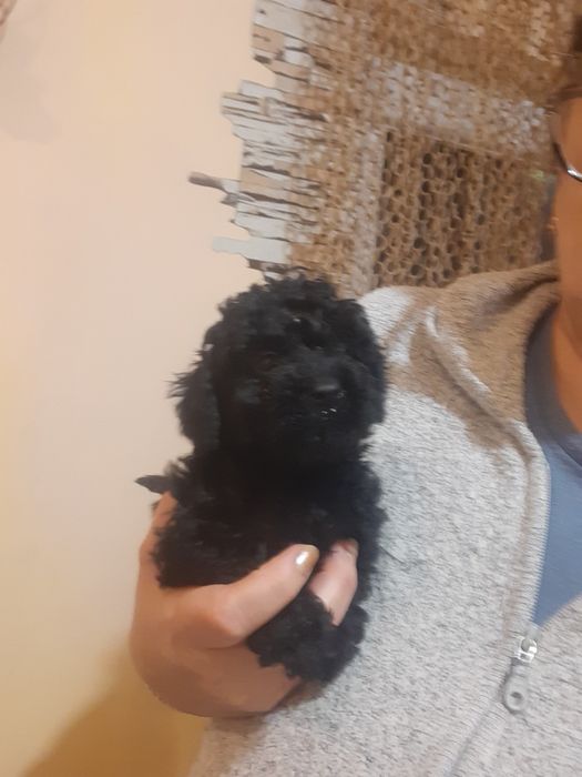 Подрастают мальчики и девочки