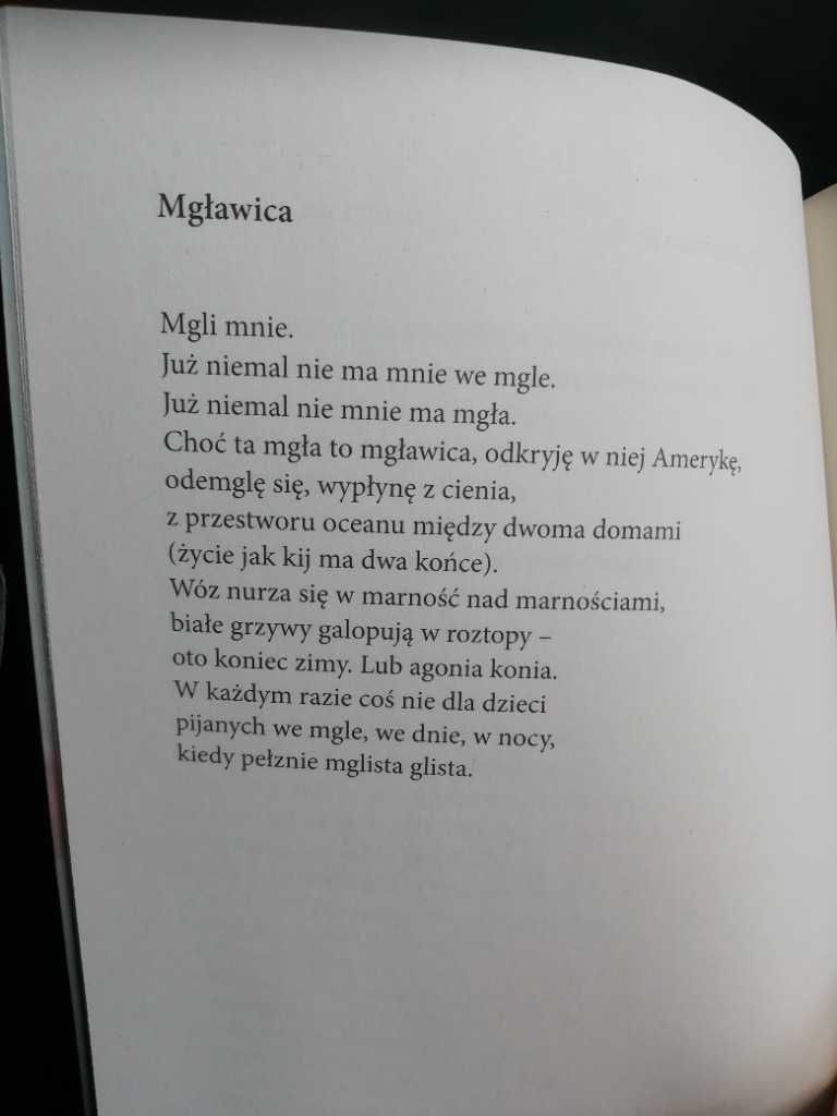 Mglista glista - Mirosław Gabryś