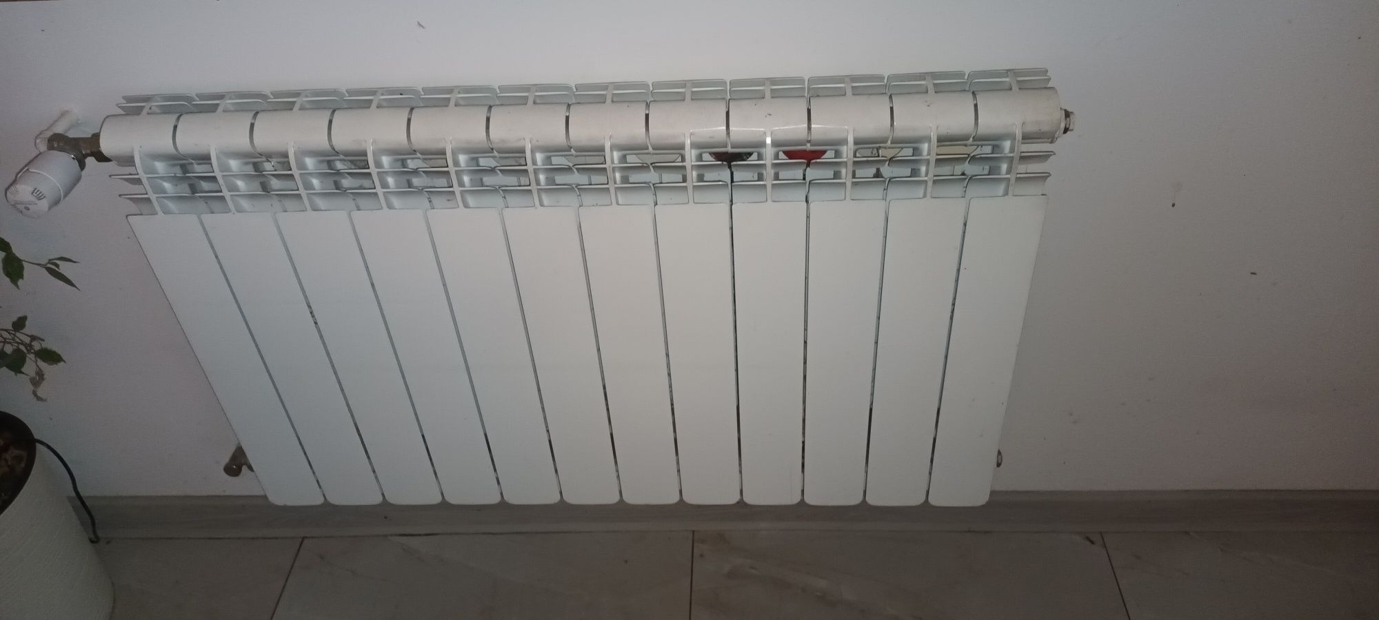 Grzejniki aluminiowe włoskie