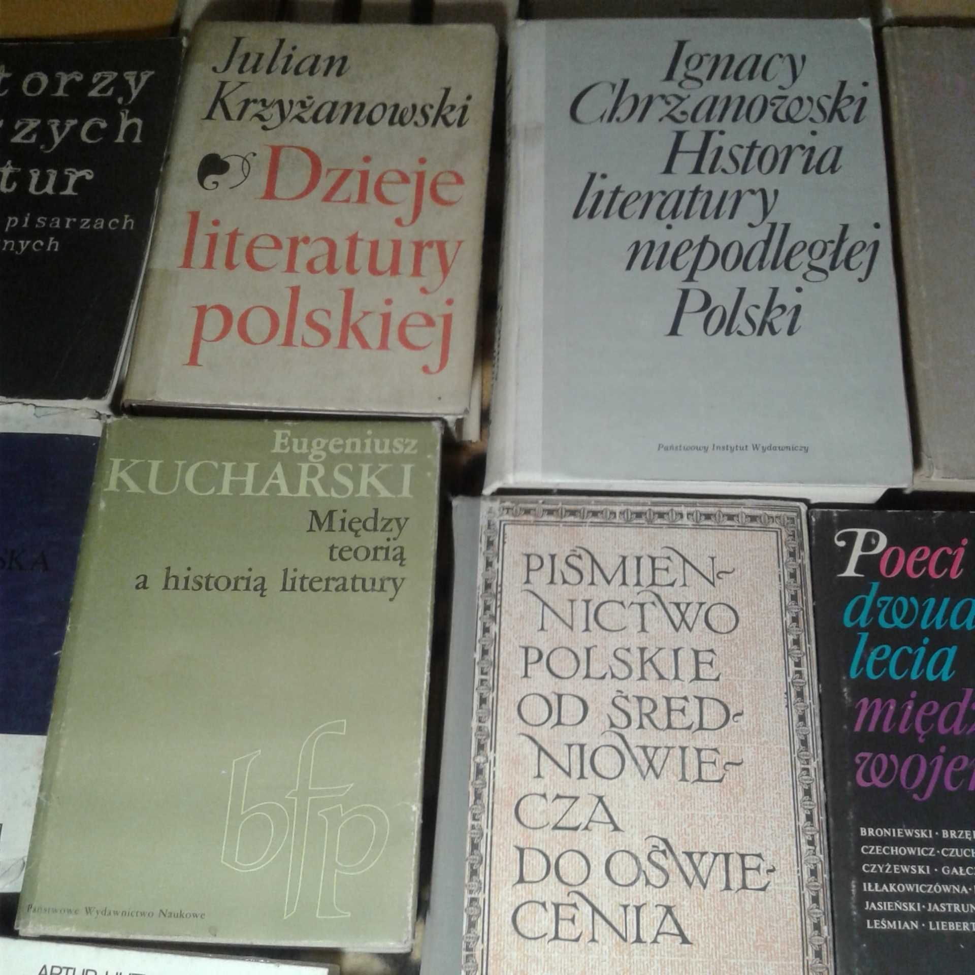 Polonistyka literaturoznawstwo zestaw 22 książek